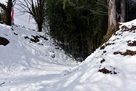 雪の本丸堀