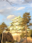 夕顔の名古屋城…