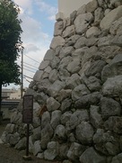 裏側の石灰岩の石垣…