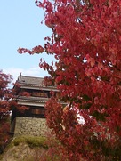 紅葉と櫓