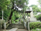 杉本寺