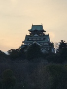 夕陽の大阪城
