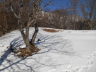 雪の本丸土塁