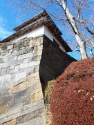 現存櫓と石垣