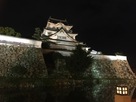 夜の岸和田城