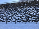 雪の本丸石垣