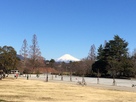 駿府城址公園から見た富士山…