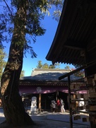 唐沢山神社