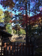 唐沢山神社背面の石垣…