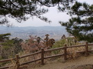 天狗岩からの風景