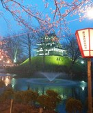 高田城夜桜と噴水…