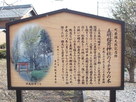 五明稲荷神社のイチョウの木案内板…