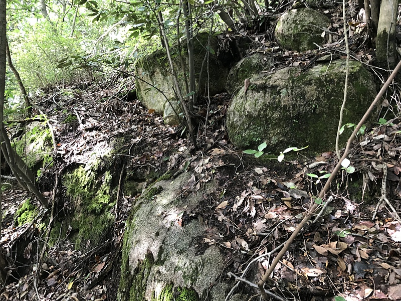 藪の中の石積み