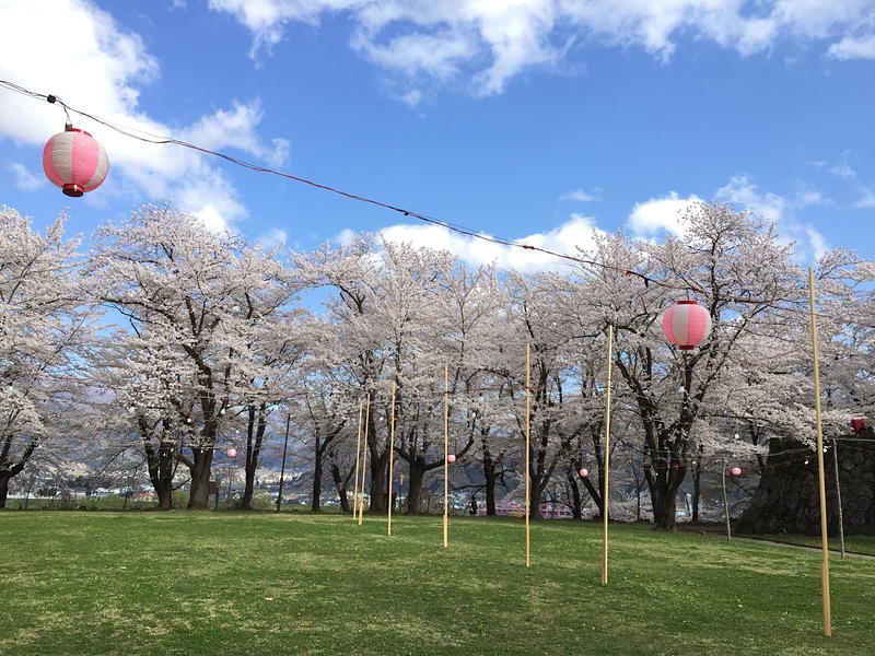 桜満開の本丸庭園
