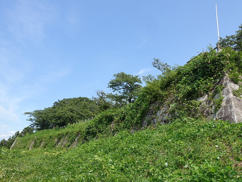 草のナイアガラ（本丸跡 海側石垣）