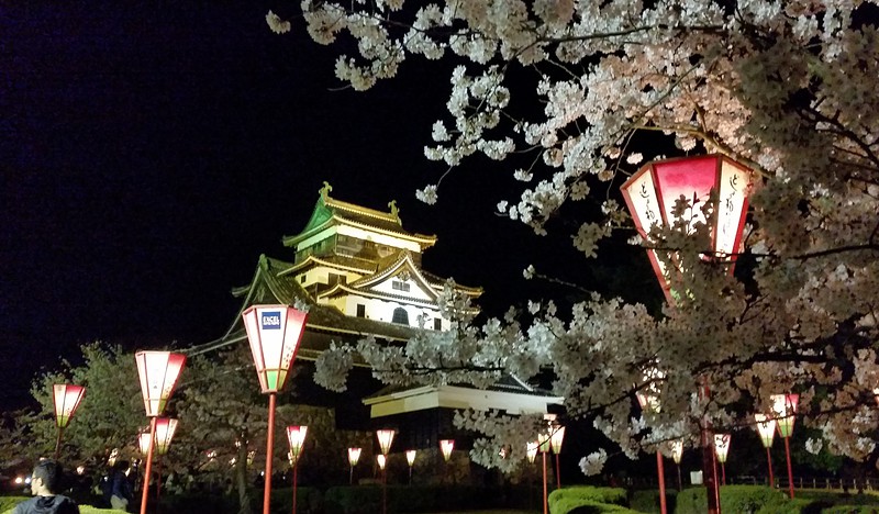 夜桜とライトアップされた松江城