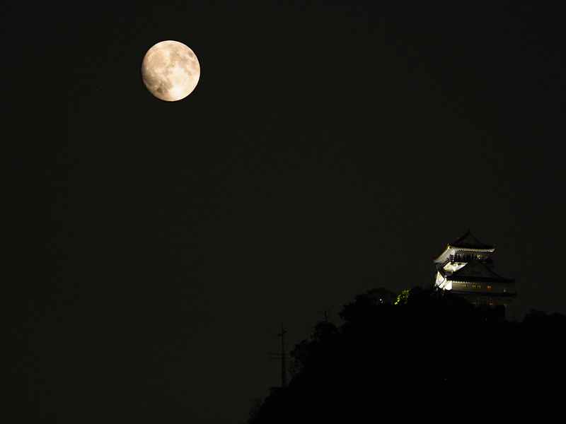 岐阜城の写真 月夜に天守 攻城団