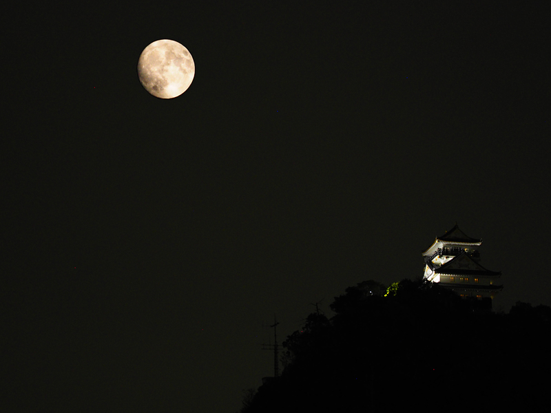 月夜に天守