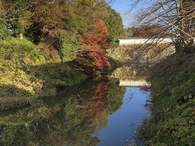 堀の水面に映る紅葉