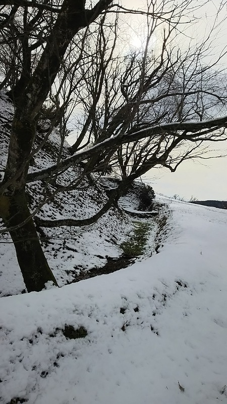 雪の鳥越城 空堀