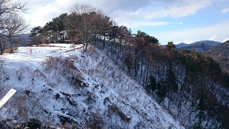 真田氏本城の側面斜面
