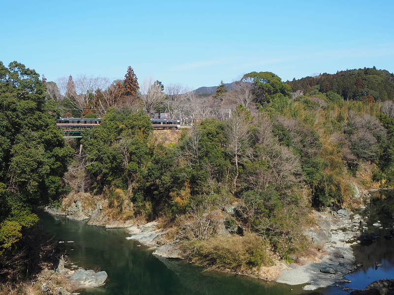牛渕橋から見た長篠城と飯田線特急電車