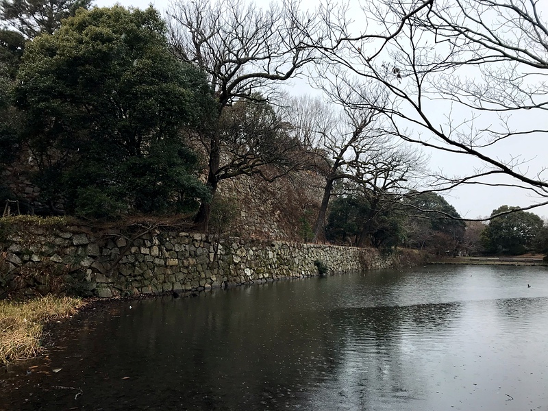 桜堀と本丸石垣