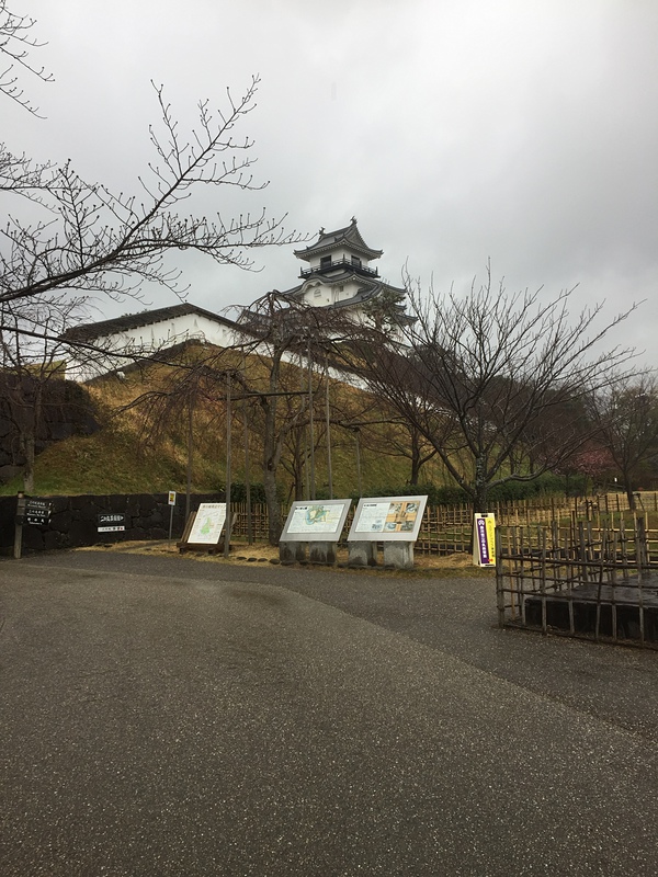 雨の掛川城