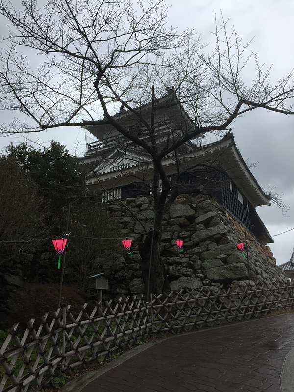 雨上がりの浜松城