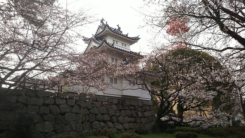 櫓と桜と