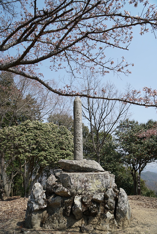 城跡之碑と桜