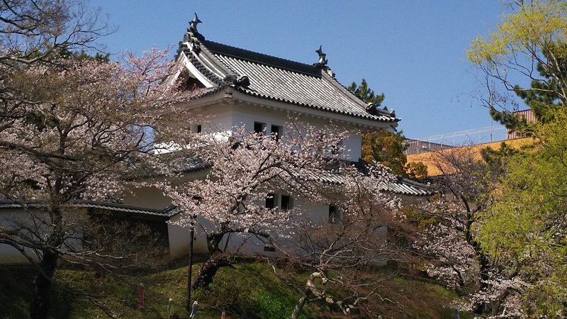 桜と櫓と