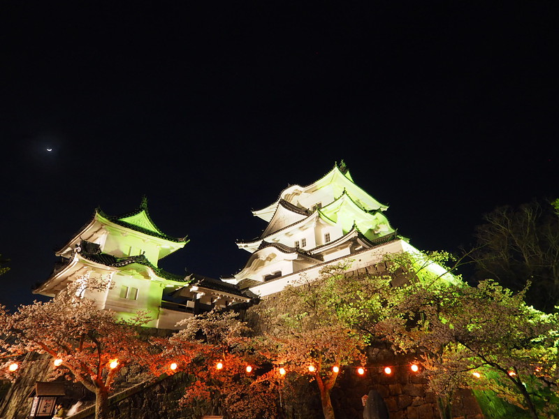 上野 城 伊賀 伊賀上野城の歴史観光と見どころ