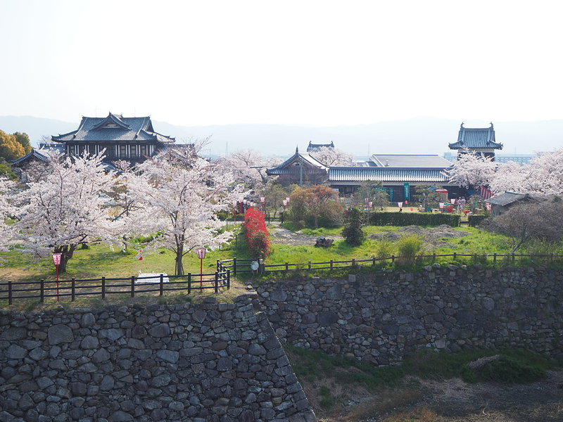 左から、旧奈良県立図書館、追手門、東隅櫓、追手向櫓