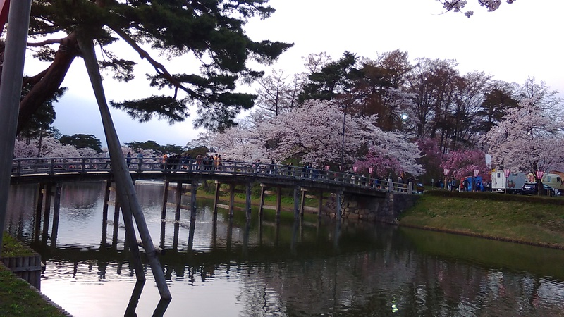 桜と極楽橋