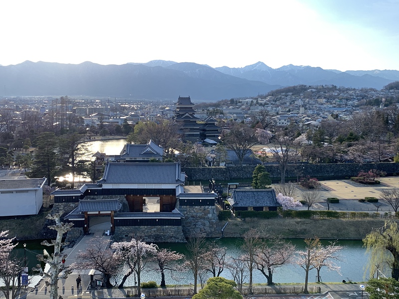 桜と北アルプスと松本城