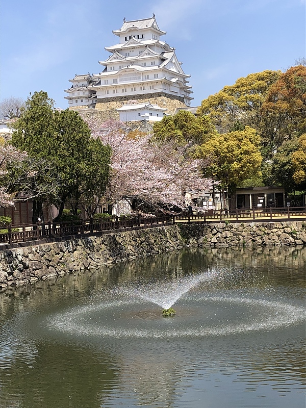 姫路城と桜とお堀(噴水)