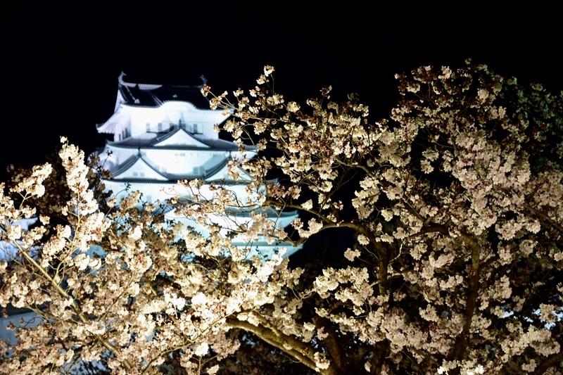 夜桜会
