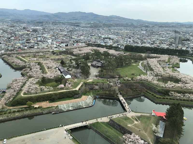 五稜郭タワーからの全景