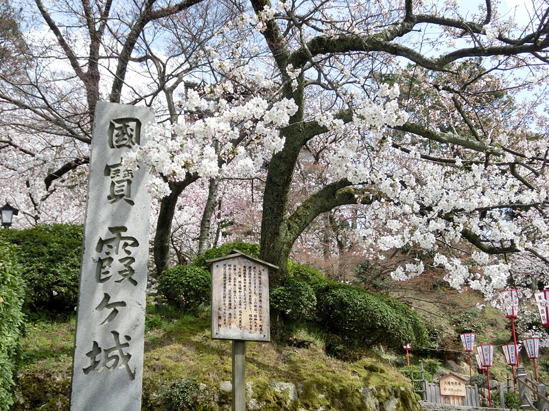 霞ヶ城石碑と桜
