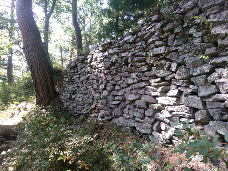 山家城本丸下の石垣