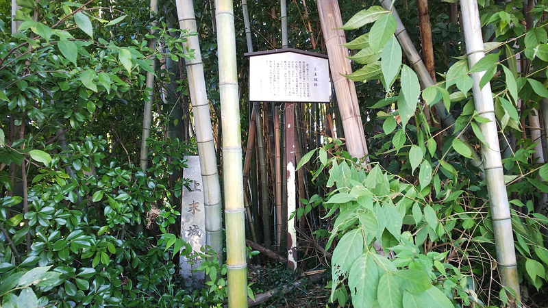 石碑は、竹藪の中だが、撮りやすい場所