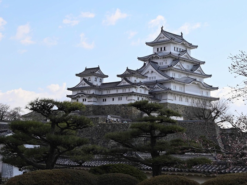 姫路城の写真 西の丸庭園の松と天守 攻城団