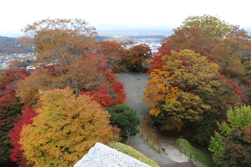 本丸東櫓台からの紅葉