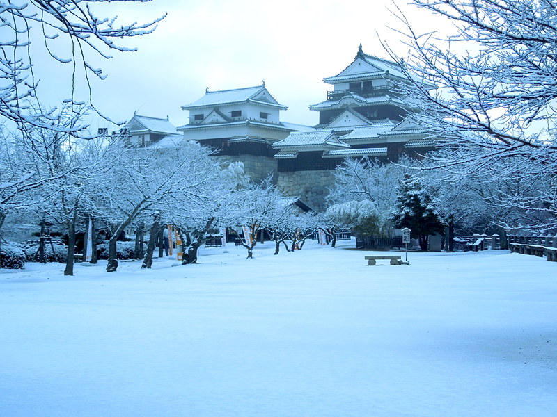 雪の松山城
