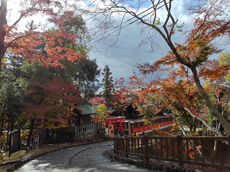 松の丸門があった辺りの秋