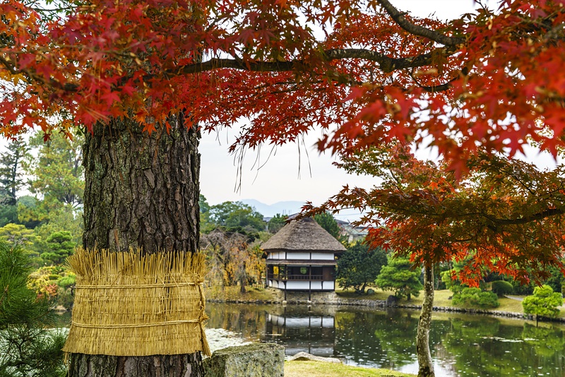 秋の衆楽園