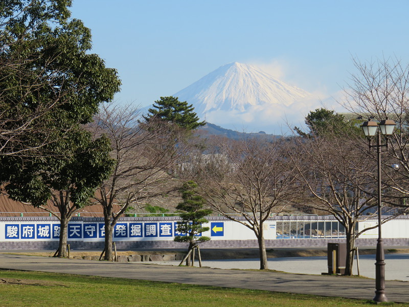 発掘調査現場越しの富士山