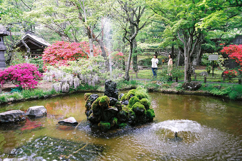 懐古神社境内池