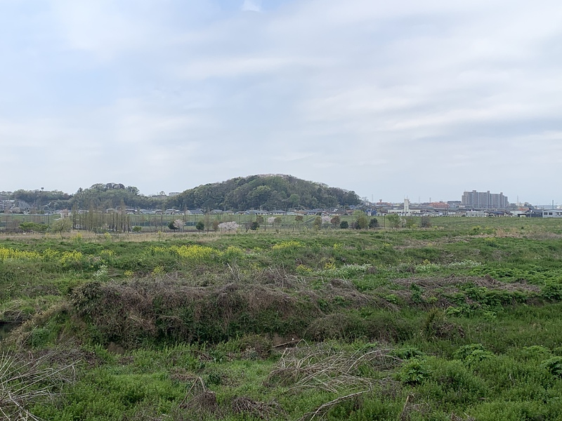 太田道灌陣所付近から見た小机城遠景